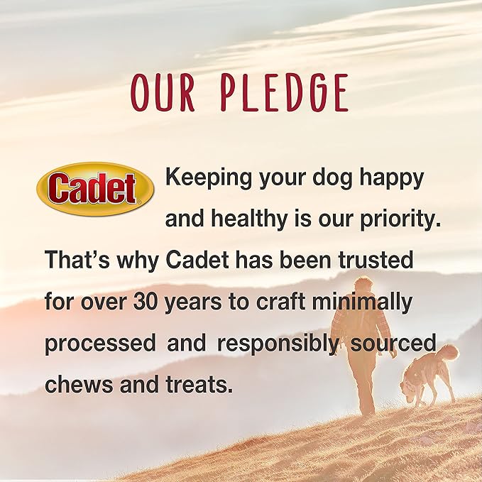 Cadet Gourmet 5-Inch Beef Hide Twist Chew Sticks, Long-Lasting and Natural Rawhide Chews for Dogs, Inspected & Tested in USA, Chicken Flavor, 50 Count