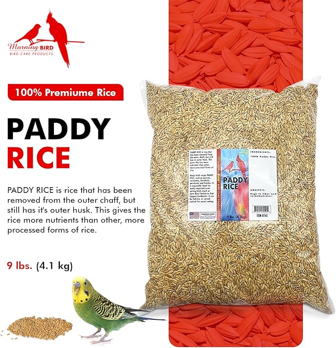 Morning Bird Paddy Rice 9 lbs Bird Seed for Optimal Health & Nutritious Pet Bird Food – Supports Feathers & Immunity – Ideal for All Seed Eating Birds.