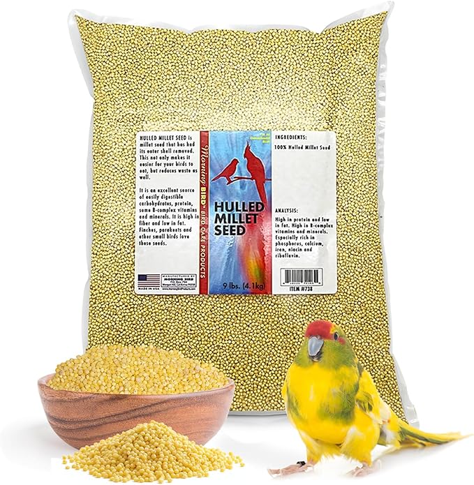 Morning Bird Hulled Millet 9 lbs – Nutritious Hulled Millet Seed, Easily Digestible with High Fiber, Rich in Vitamins and Supplements for Birds, Ideal Bird Feed for All Bird Types.