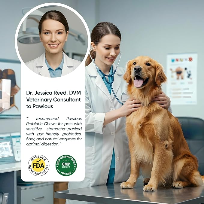 Probiotics for Dogs - Digestive Enzymes Gut Flora, Digestive Health, Immune System - Diarrhea Support, Itchy Skin, Allergies - Pumpkin, Flaxseed Meal, Papaya Powder - Probiotic Chews for Dogs