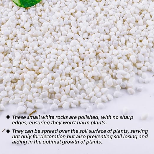 7lb 1/4" Small White Rocks for Plants,Potting,Succulents Aquarium Fish Tank Garden Vases Decorative Pebbles Gravel Rocks Stones