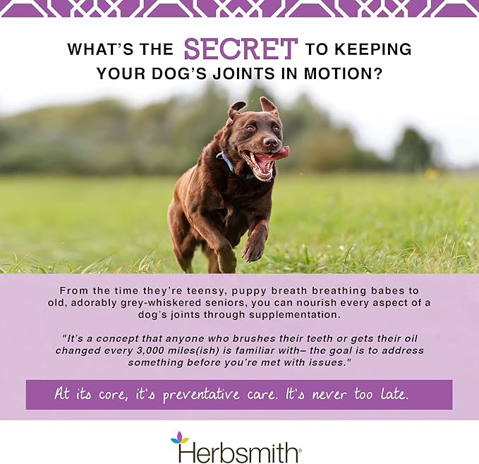 Herbsmith 75g Powder Advanced Joint Support Sound Dog Viscosity Veterinarian Recommended Glucosamine for Dogs