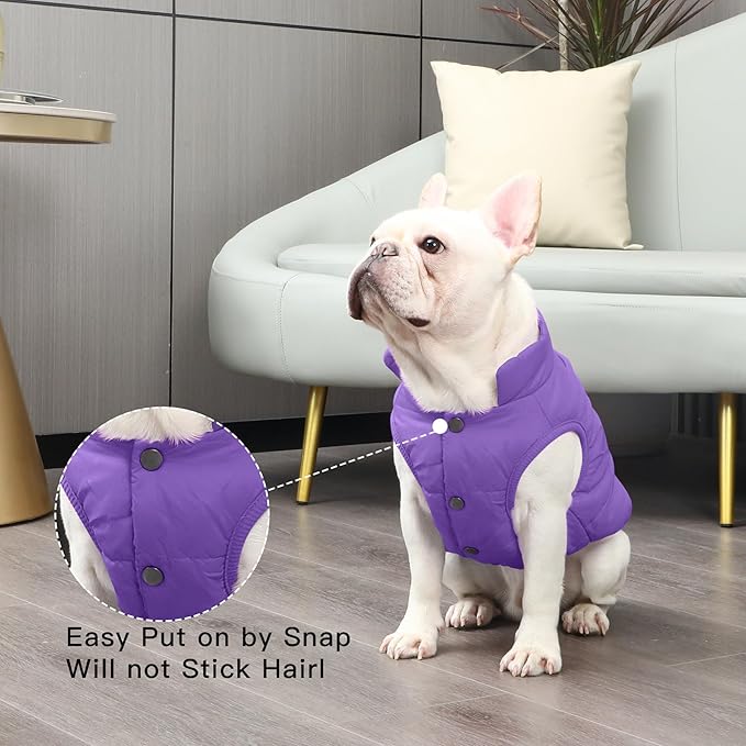 2 Layers Fleece Lined Warm Dog Jacket for Winter Cold Weather,Soft Windproof Medium Dog Coat,Purple XL