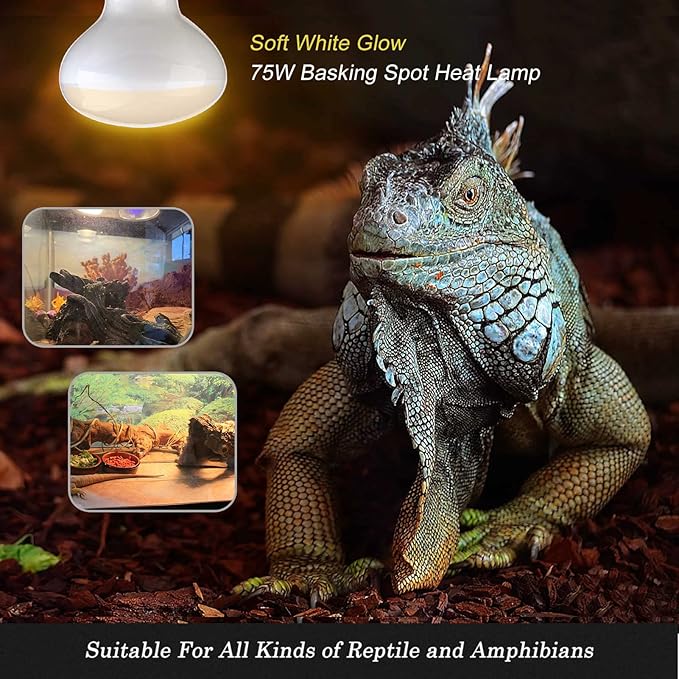 75W Reptile Heat Lamp Bulb/Light, UVA Basking Spot Heat Lamp Sun Light White Bulb for Bearded Dragon Lizard Tortoise Turtle, Reptiles & Amphibians - 4 Pack