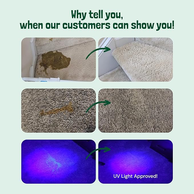 Sunny & Honey Carpet Cleaner - 32 Fl Oz, Spring Mint Scent - Enzyme Cleaner Spray for Pet Stains & Odors - Pet Stain Remover for Carpet, Upholstery & Mattresses