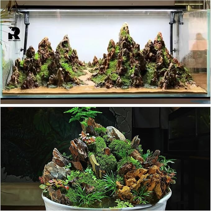 kecilke Natural Aquarium Rocks 2-4 inches Dragon Stone Rock for Aquariums, Landscaping Model,Tank Decoration, Amphibian Enclosures-Dragon Stones-5LB