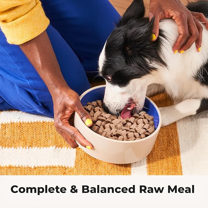 Chonky Chicken - Freeze Dried Raw Dog Food, Complete Meal, Real Cuts of Chicken for Training, Meal Topper, High Protein, 21g Per Cup, Made in The USA, 20oz Bag