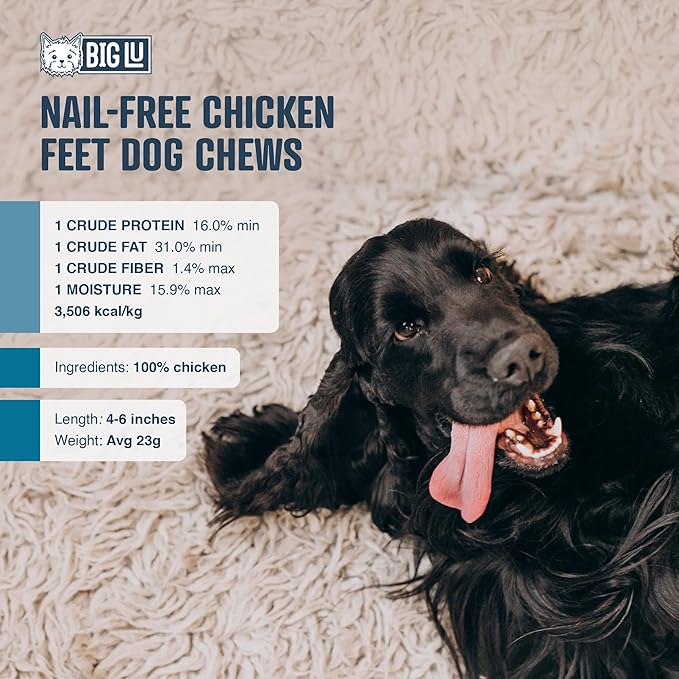 Big Lu – Nail-Free Chicken Feet Dog Chews, 100% Natural Single-Ingredient Treats, Rawhide-Free, Long-Lasting, Rich in Glucosamine and Chondroitin for Joint Health (60 Count)