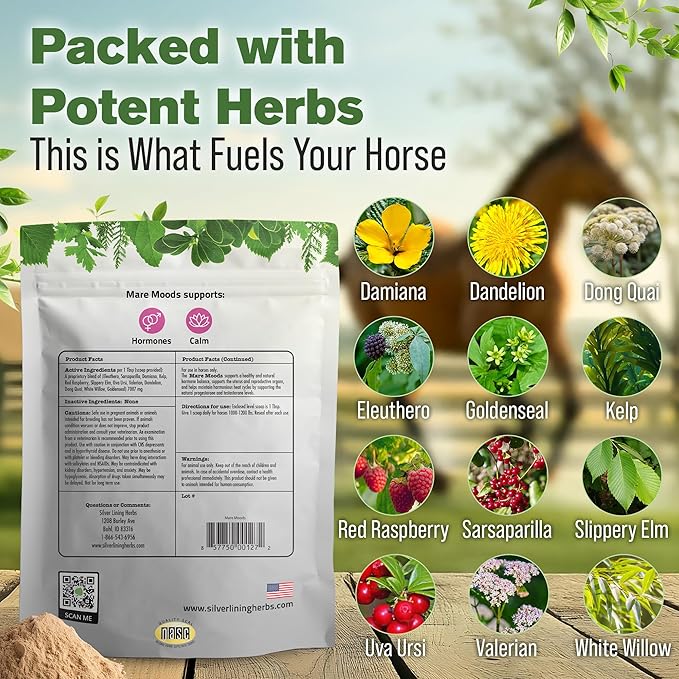 Silver Lining Herbs Mare Moods Horse Calming Supplement - Natural Hormone Balance & Calm for Horses - Herbal Horse Supplements for Mood & Reproductive Support - 1 lb 60-Day