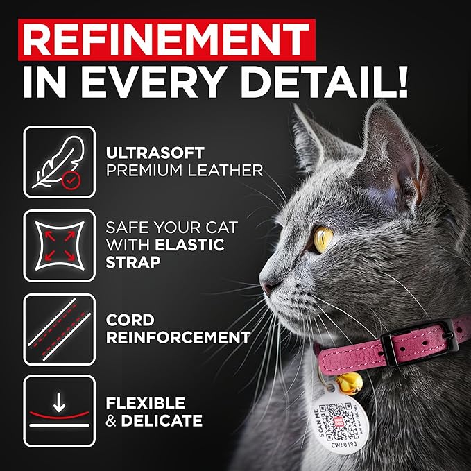 Leather Cat Collar with Bell & Elastic Strap - Pet Collar Leather - Leather Kitten Collar - Cats Small and Big Cat Collar for Boy Cats, Girl Cats with Safety Elastic Strap (Pink, 6" - 8")