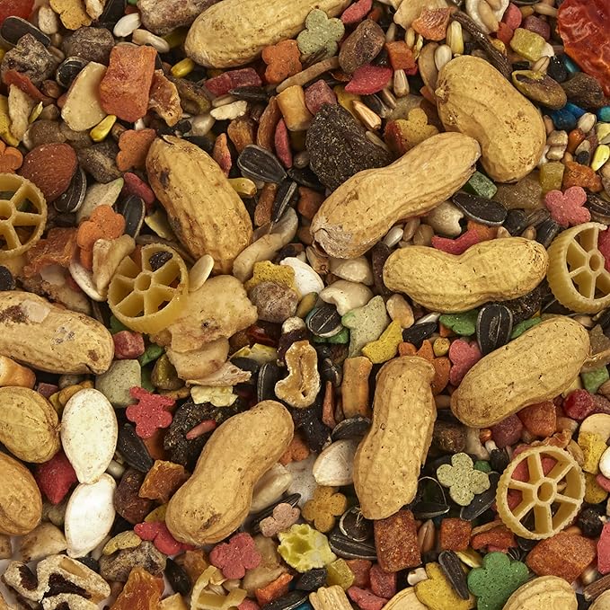 Small Hookbill Food – Gourmet Blend with Fruits, Nuts & Seeds, 10 Pounds, Omega 3 & Natural Preservatives, Supports Digestion