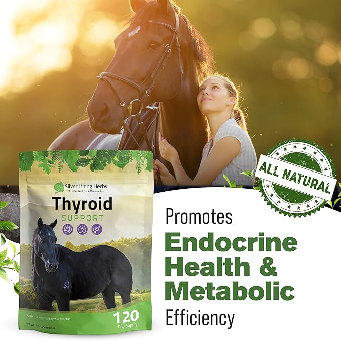 Silver Lining Herbs Thyroid Support for Horses β Herbal Horse Supplement for Normal Thyroid Function, Hormone Balance & Healthy Metabolism with Irish Moss, Kelp, Parsley β 120-Day Supply