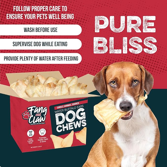 Fang & Claw Water Buffalo Ears for Dogs (50 Pack) - Free Range Grass Fed Low Calorie All Natural Dog Chews - Healthy Dental Chew Bone Alternative - No Rawhide Dog Chews - Long Lasting Natural Treats