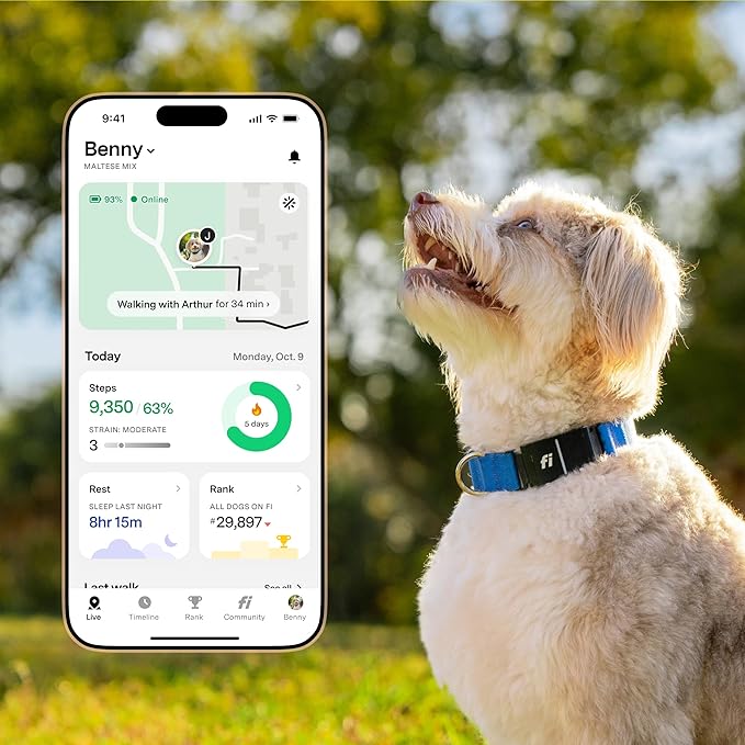 Fi New Series 3+ Smart Dog Tracker Collar – AI GPS for Dogs, Health & Behavior Monitor, Virtual Fence, Escape Alerts, Waterproof, Apple Watch Compatible 12Mo Membership Included