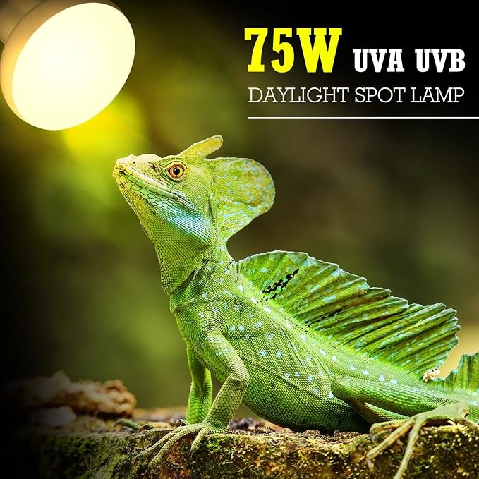 Tarpop 8 Pcs Reptile Heat Lamp Bulb, 75w Reptile Basking Heat Light Bulb Uva Daylight for Bearded Dragon, Amphibian, Turtle, Lizard, Chicken