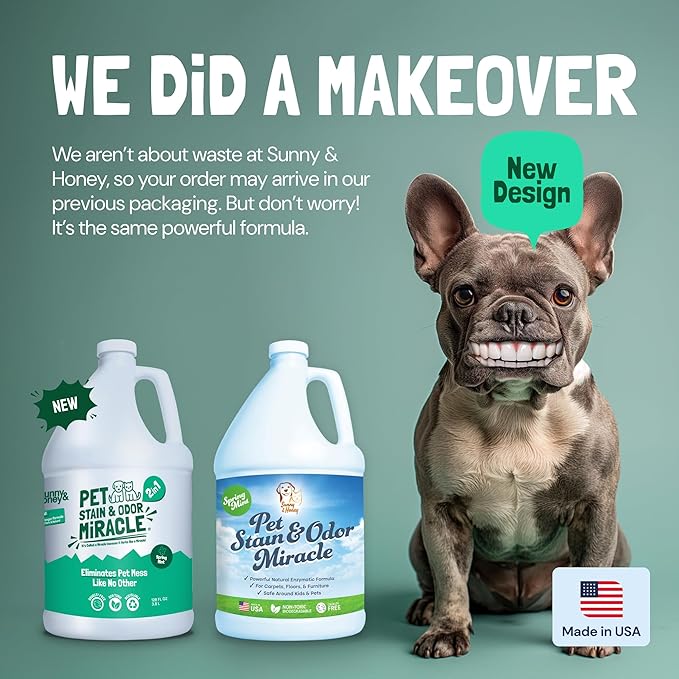 Sunny & Honey Carpet Cleaner Enzyme Pet Stain & Odor Remover - 128 Fl Oz, Spring Mint - Pet Urine Remover & Upholstery Cleaner Solution