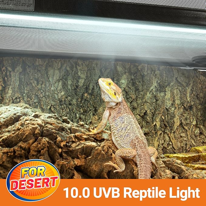 Oiibo T5 HO Reptile Light Fixture UVB Lighting Combo Kit, Terrarium Lamp Hood Light with UVB 10.0 for Bearded Dragon, Gecko, Lizard (39W)