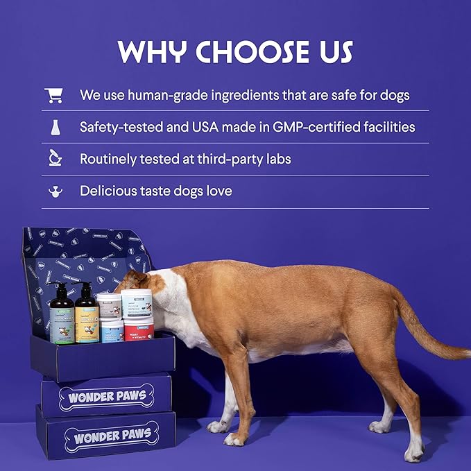 Premium Liquid Glucosamine for Dogs Strength Joint Support, Flexibility, Cartilage & Mobility - Hip and Joint Supplement with Chondroitin, MSM, Collagen & Hyaluronic Acid (32 Oz)
