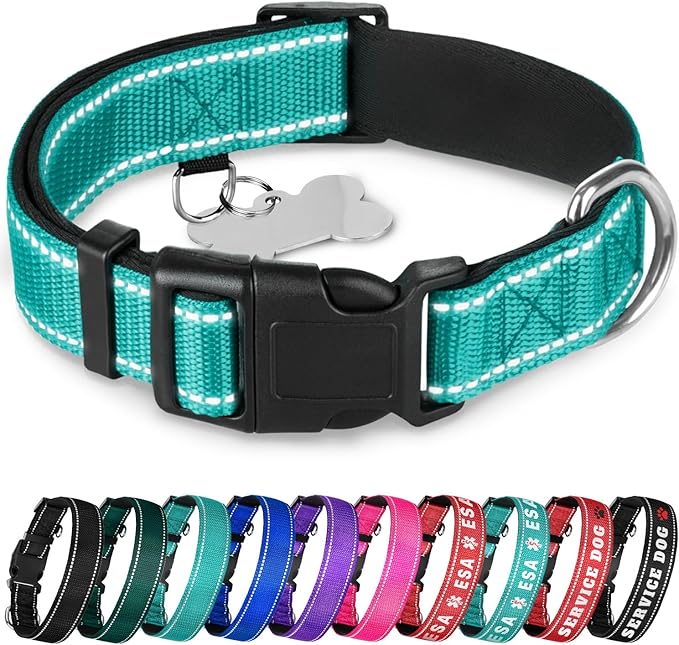 TECEUM Reflective Dog Collar β Teal β XS β Extra Soft Padding β Basic Nylon Pet Collar β Quick Release Buckle β Fits Small, Medium and Large Dogs, Puppies, Cats β ESA & Service Dog Options