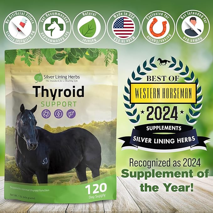 Silver Lining Herbs Thyroid Support for Horses β Herbal Horse Supplement for Normal Thyroid Function, Hormone Balance & Healthy Metabolism with Irish Moss, Kelp, Parsley β 120-Day Supply