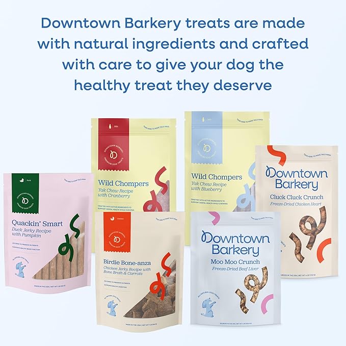 Downtown Barkery Meat Sticks - Air-Dried Chicken Jerky Dog Treats Made in USA for All Breeds and Sizes - Grain-Free Dog Treats Without Artificial Flavors - Chicken with Blueberry & Turmeric, 8 Oz