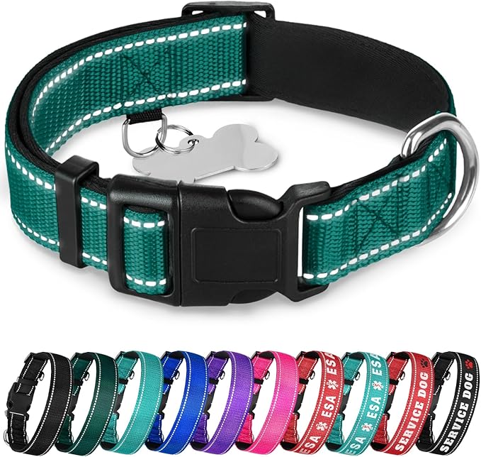 TECEUM Reflective Dog Collar β Dark Emerald Green β M β Extra Soft Padding β Basic Nylon Pet Collar β Quick Release Buckle β Fits Small, Medium and Large Dogs, Puppies, Cats