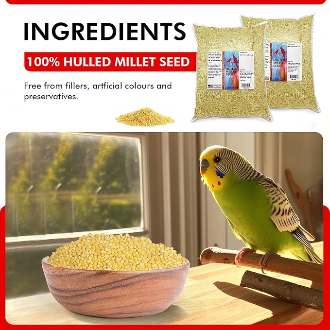 Morning Bird Hulled Millet – Nutritious Seed, Easily Digestible with High Fiber, Rich in Vitamins and Supplements for Birds, Ideal Bird Feed for All Bird Types, 18 lbs (2-Pack, 9 lbs Each)