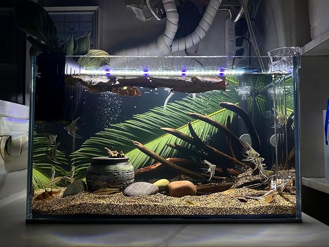 Aquarium Driftwood Centerpiece Aquarium Landscape, Handcrafted Fish Tank hardscape Landscape (Thorn Forest)