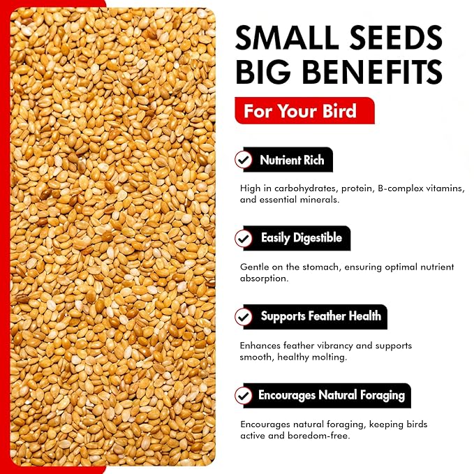 Morning Bird Golden German Millet – Bird Seed & Parakeet Food with Protein, Vitamin B & Fiber – Easy-to-Digest Millet Seed, Natural Food & Daily Nutrition Supplement for All Type of Bird 9 lbs