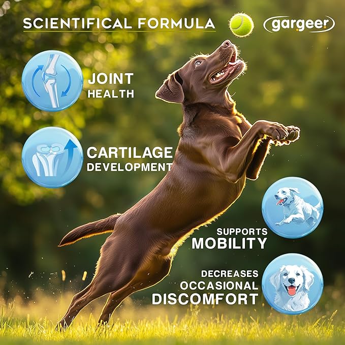 Advanced Hip & Joint Support Pro Supplement. Rich with Glucosamine, MSM & Green Lipped Mussel. For All Dog Breeds & Ages. 60 Duck Flavored Chews for Enhanced Mobility. Made in the USA, Enjoy !
