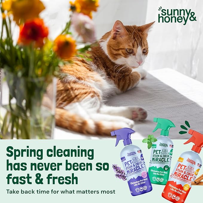 Sunny & Honey Carpet Cleaner Enzyme Pet Stain & Odor Remover - 128 Fl Oz, Spring Mint - Pet Urine Remover & Upholstery Cleaner Solution