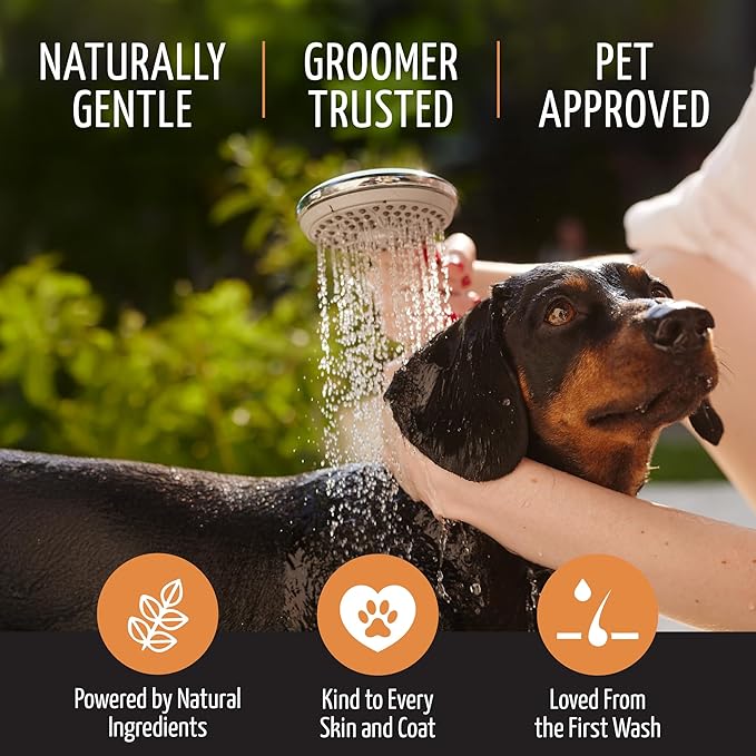 Tauro Pro Line 5in1 Moisturizing, Deodorizing, Deshedding Dog Shampoo for Smelly Dogs, Hypoallergenic, Safe Puppy Shampoo for Daily Care (13.5 Fl Oz)