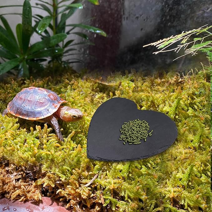 Reptile Basking Platform, 12 × 12 inch Tortoise Rock Plate, Heart Shape Natural Rock Reptile Food Dish, Turtle Feeding Bowl, Habitat Decor for Bearded Dragon Chameleon Frog Lizard Gecko Hermit Crab