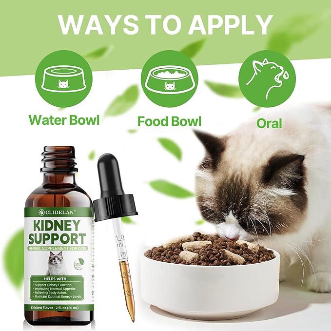 Cat Kidney Support – Kidney Support Supplement for Cats Feline Health, Fluid Balance & Appetite, Veterinarian-Formulated Herbal Supplement 2 fl oz–for Normal Kidney Cleanse and Essential Kidney Care