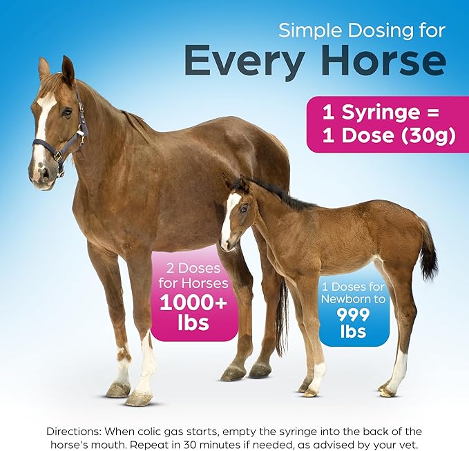Horse Digestion Supplement to Immediately Cure Intestinal Gas Build-Up (Relieves Colic in 15 Minutes)
