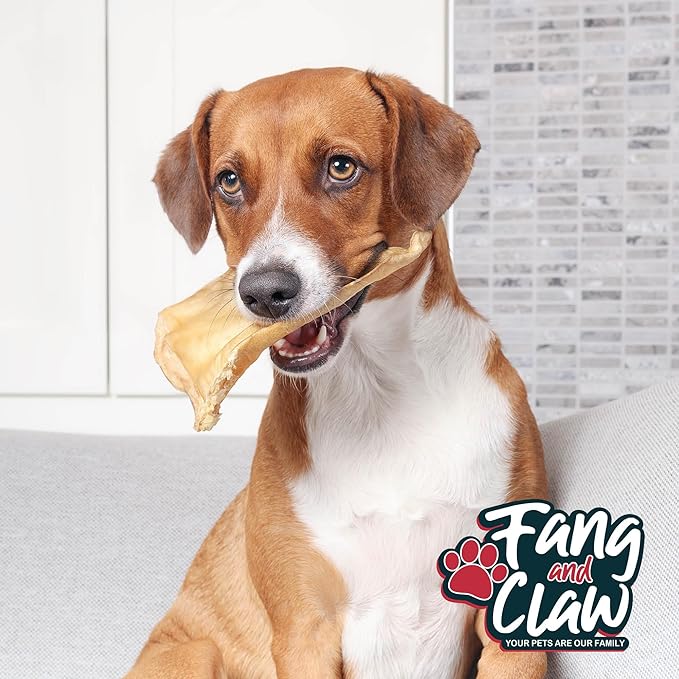 Fang & Claw Water Buffalo Ears for Dogs (100 Pack) - Free Range Grass Fed Low Calorie All Natural Dog Chews - Healthy Dental Chew Bone Alternative - No Rawhide Dog Chews - Long Lasting Natural Treats
