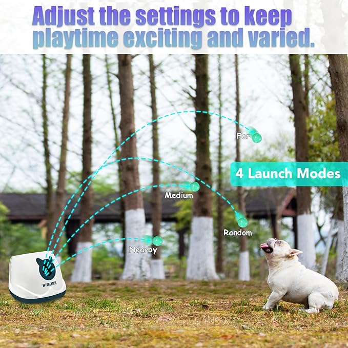 Automatic Ball Launcher for Dogs, Dog Fetch Ball Thrower Launcher, 4 Adjustable Distances, Interactive Pet Self Playing for Small Dogs and Puppies with 10 Balls (2 inches)