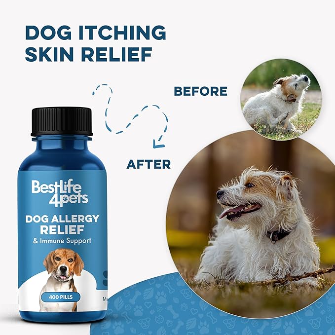 Dog Allergy Relief & Immune Support, Natural Holistic Itch Relief for Dogs, Immune System Guard and Allergy Support, Including Seasonal Allergies, Sneezing, Runny Nose and Itching, 400 Small Pills