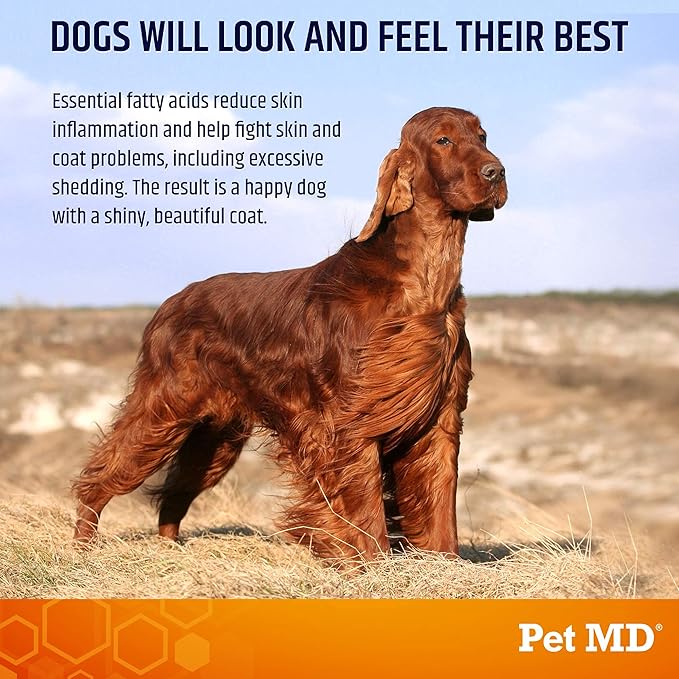 Pet MD Salmon Omega Bites for Dogs - Skin and Coat Supplement with Omega 3 & 6 for Dogs Plus DHA & EPA - Promotes Allergy & Dry Skin Relief - 120 ct