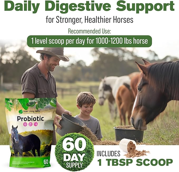 Silver Lining Herbs Horse Probiotics Digestive Supplements - Digestive Enzyme & Gut Health Probiotic Supplement for Horses - Contains 13.2 Billion CFUs Probiotic Strains - 1.25 lb 60-Day Supply