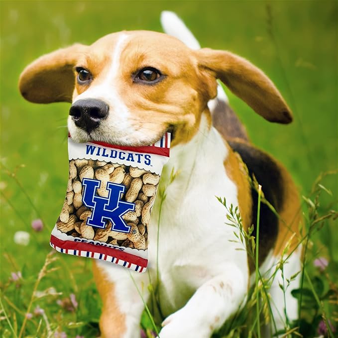 NCAA Kentucky Wildcats Crinkle FINE Plush Dog & CAT Squeak Toy- Cutest Stadium Peanuts Snack Toy for Dogs & Cats with Inner Squeaker & Beautiful Football/Basketball Team Name/Logo