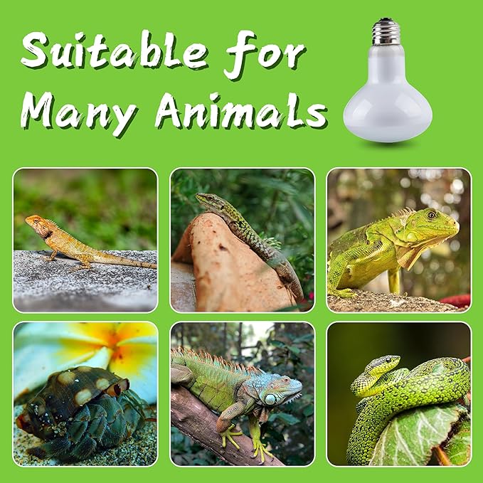 Reptile Heat Lamp Bulb, 100 Watt UVA Daylight Basking Spot Light for Bearded Dragon, Turtle, Lizard, Snake, Tortoise, Chameleon, Amphibians - 2 Pack