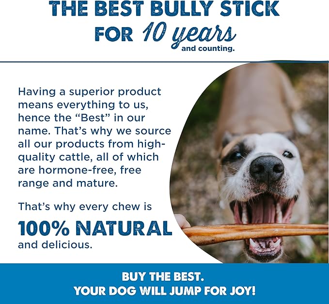 Best Bully Sticks 12 Inch Bully Sticks for Dogs - 25 Count (Pack of 1) - Natural, Easily Digestible, 100% Grass-Fed, Grain and Rawhide Free