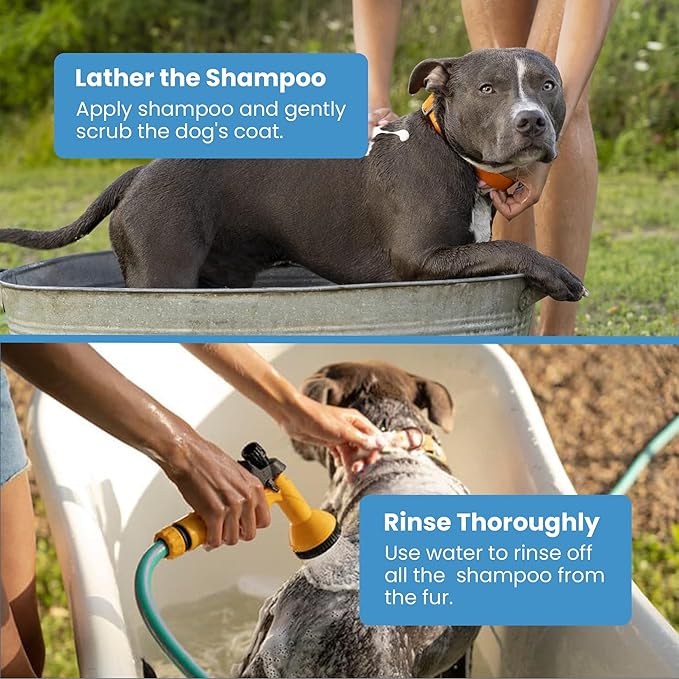 Medicated Dog Shampoo | Liquid Shampoo for Dogs | Neem& Niaouli