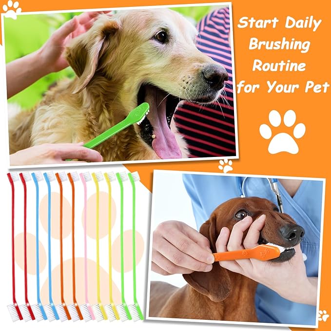 Honeydak Dog Tooth Brush Pet Toothbrush Soft Grooming Dogs Toothbrush Dog Double Sided Puppy Long Handle Brush for Large and Small Teeth Cleaning Dental Oral Care (70 Count,Multicolor)