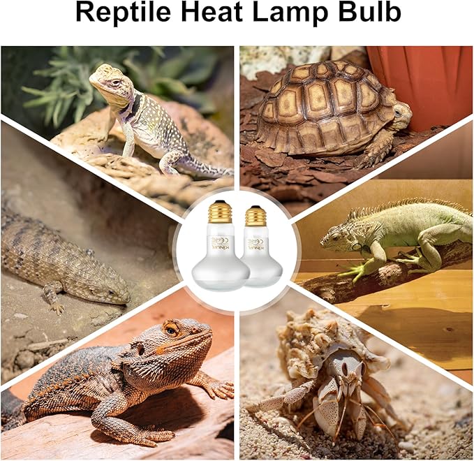 KINUR Reptile Heat Lamp Bulb-75W 2 Pack,UVA Basking Light Heat Lamp Bulbs,Natural Daylight Heating Light for Bearded Dragon,Turtle,Tortoise,Lizard,Snake,Gecko,Chicken with Digital Temperature Strips