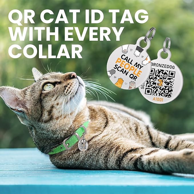 BRONZEDOG Leather Cat Collar with Removable Bells Non Breakaway Kitten QR Tag for Girl Boy (7" - 9" for Cats, Green & Silver)