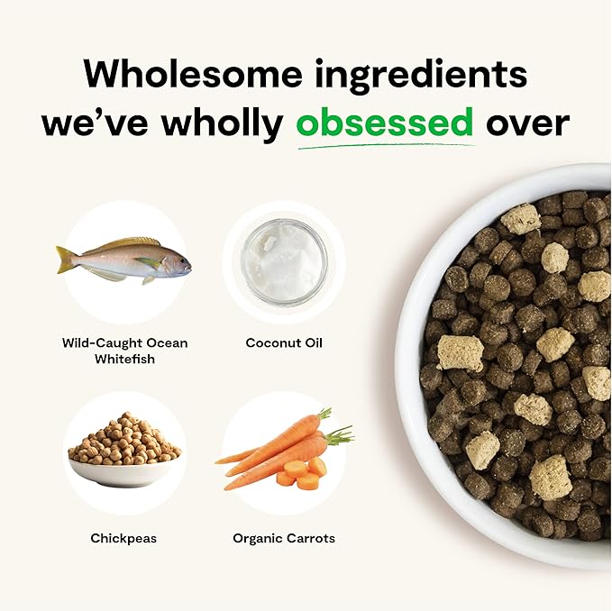 Open Farm, RawMix Dry Cat Food, Protein-Packed Kibble Coated in Bone Broth with Freeze Dried Raw Chunks, for Indoor & Outdoor Cats, Wild-Caught Whitefish, Salmon & Rockfish Recipe, 8lb Bag