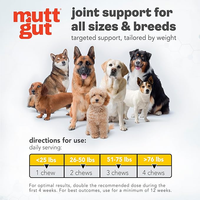 MuttGutยฎ Mobility Chews for Dogs - Glucosamine Chews with MSM, Turmeric & Algae Oil Powder - Joint Support & Hip Health Supplement for Dogs - Vet Recommended, cGMP Certified - 60 Soft Chews