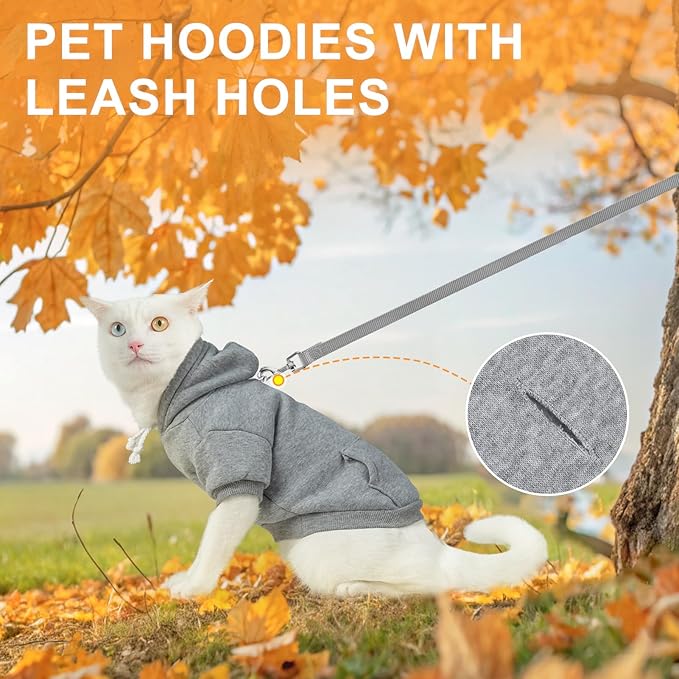BEAUTYZOO Dog Hoodie & Cat Sweater for Small Dogs Puppy Girls Boys, Fleece Lined Warm Winter Fall Dog Clothes with Leash Hole and Pocket, Ultra-Soft Pet Jacket Coats Kitten Clothing, Grey L
